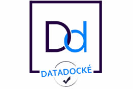logo datalock